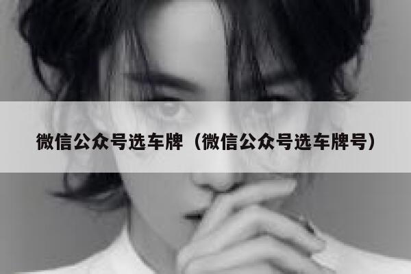 微信公众号选车牌（微信公众号选车牌号） 第1张