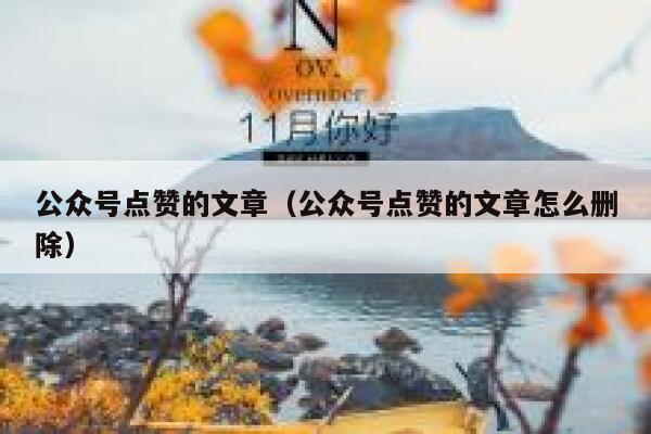 公众号点赞的文章（公众号点赞的文章怎么删除） 第1张