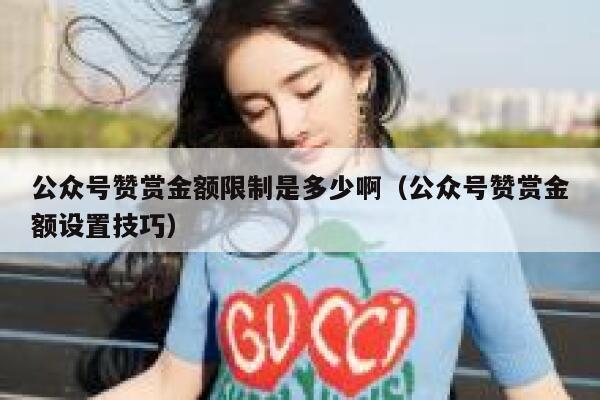 公众号赞赏金额限制是多少啊（公众号赞赏金额设置技巧） 第1张