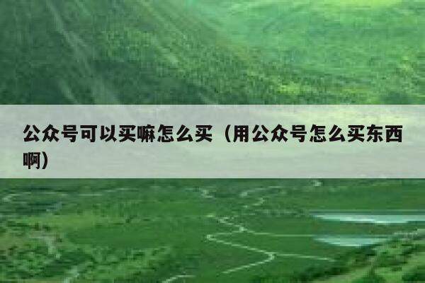公众号可以买嘛怎么买（用公众号怎么买东西啊） 第1张