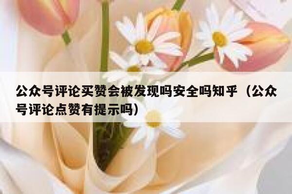 公众号评论买赞会被发现吗安全吗知乎（公众号评论点赞有提示吗） 第1张