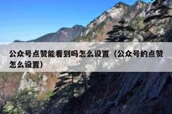 公众号点赞能看到吗怎么设置（公众号的点赞怎么设置） 第1张