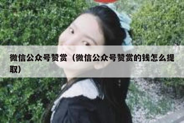 微信公众号赞赏（微信公众号赞赏的钱怎么提取） 第1张