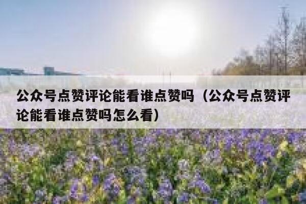 公众号点赞评论能看谁点赞吗（公众号点赞评论能看谁点赞吗怎么看） 第1张