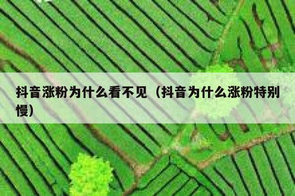 抖音涨粉为什么看不见（抖音为什么涨粉特别慢） 第1张