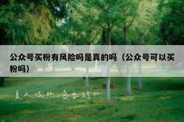 公众号买粉有风险吗是真的吗（公众号可以买粉吗） 第1张