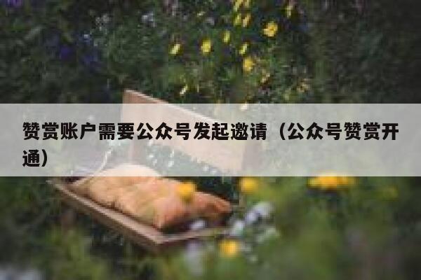 赞赏账户需要公众号发起邀请（公众号赞赏开通） 第1张