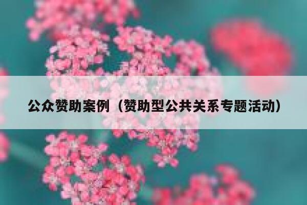 公众赞助案例（赞助型公共关系专题活动） 第1张