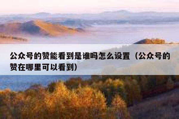 公众号的赞能看到是谁吗怎么设置（公众号的赞在哪里可以看到） 第1张