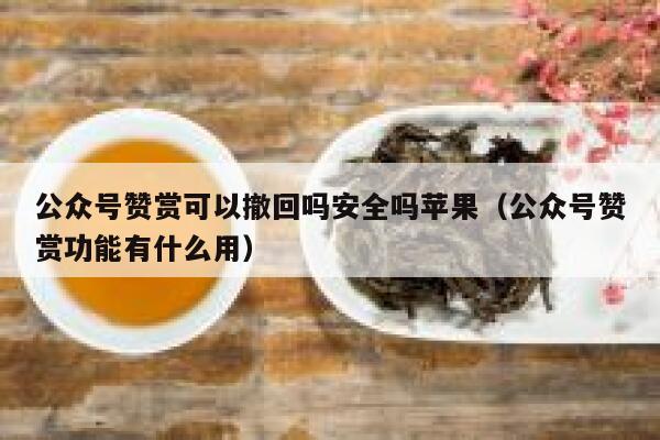 公众号赞赏可以撤回吗安全吗苹果（公众号赞赏功能有什么用） 第1张