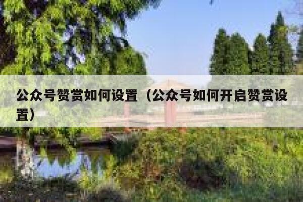 公众号赞赏如何设置（公众号如何开启赞赏设置） 第1张