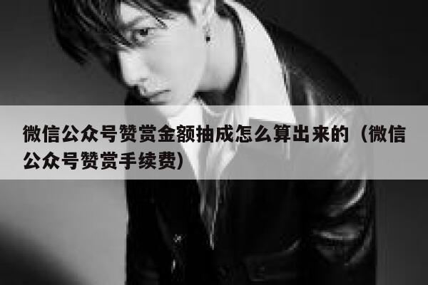微信公众号赞赏金额抽成怎么算出来的（微信公众号赞赏手续费） 第1张