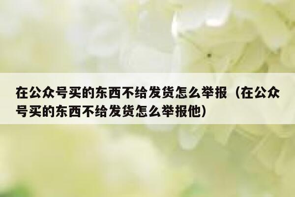 在公众号买的东西不给发货怎么举报（在公众号买的东西不给发货怎么举报他） 第1张