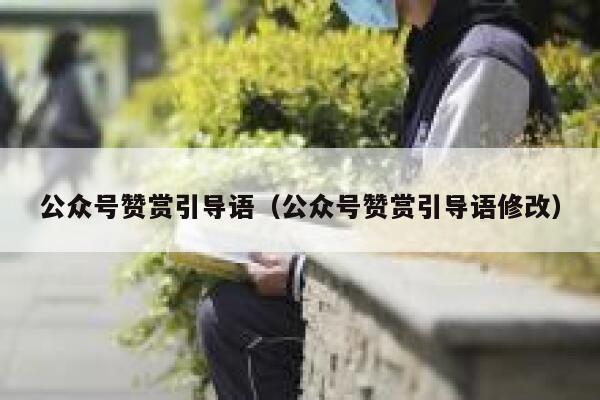 公众号赞赏引导语（公众号赞赏引导语修改） 第1张