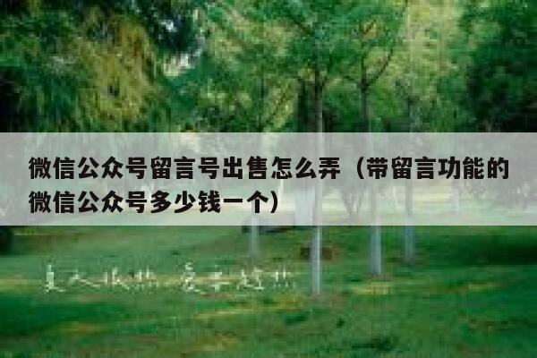 微信公众号留言号出售怎么弄（带留言功能的微信公众号多少钱一个） 第1张