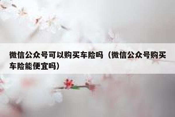 微信公众号可以购买车险吗（微信公众号购买车险能便宜吗） 第1张