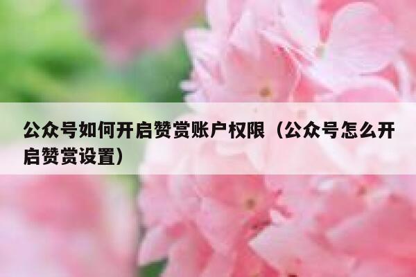 公众号如何开启赞赏账户权限（公众号怎么开启赞赏设置） 第1张