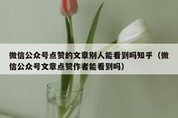 微信公众号点赞的文章别人能看到吗知乎（微信公众号文章点赞作者能看到吗） 第1张