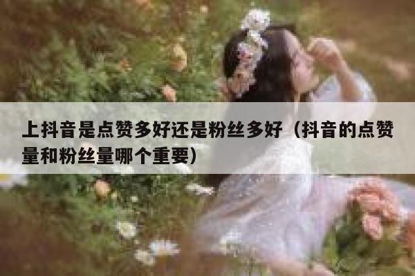 上抖音是点赞多好还是粉丝多好（抖音的点赞量和粉丝量哪个重要） 第1张