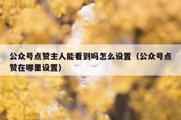 公众号点赞主人能看到吗怎么设置（公众号点赞在哪里设置） 第1张