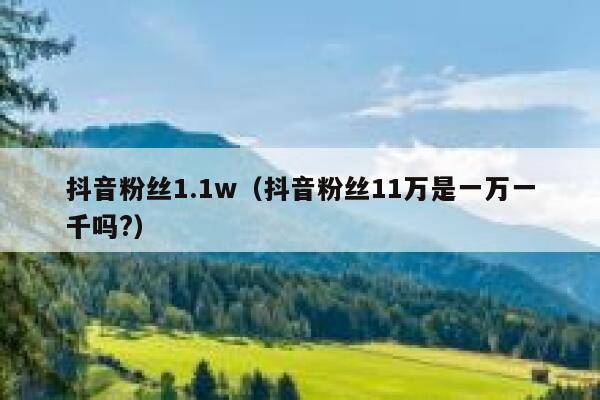 抖音粉丝1.1w（抖音粉丝11万是一万一千吗?） 第1张