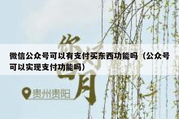 微信公众号可以有支付买东西功能吗（公众号可以实现支付功能吗） 第1张