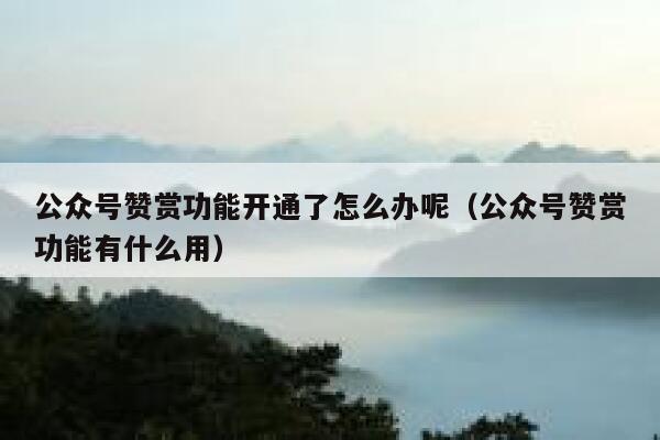 公众号赞赏功能开通了怎么办呢（公众号赞赏功能有什么用） 第1张
