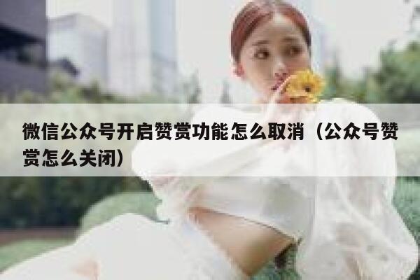微信公众号开启赞赏功能怎么取消（公众号赞赏怎么关闭） 第1张