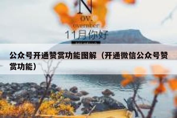 公众号开通赞赏功能图解（开通微信公众号赞赏功能） 第1张
