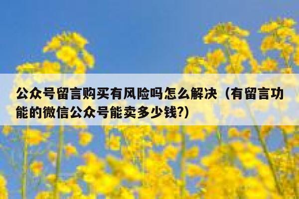公众号留言购买有风险吗怎么解决（有留言功能的微信公众号能卖多少钱?） 第1张