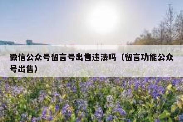 微信公众号留言号出售违法吗（留言功能公众号出售） 第1张