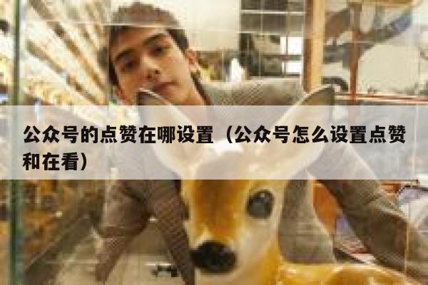 公众号的点赞在哪设置（公众号怎么设置点赞和在看） 第1张