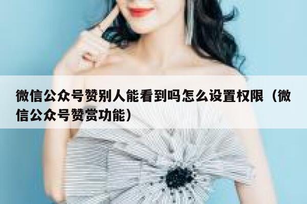 微信公众号赞别人能看到吗怎么设置权限(微信公众号赞赏功能) 第1张 微信公众号赞别人能看到吗怎么设置权限(微信公众号赞赏功能) 第1张