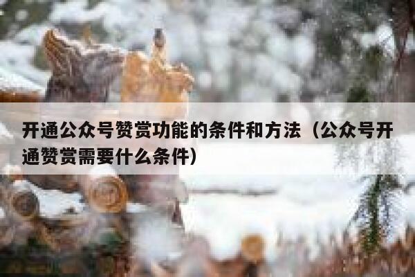 开通公众号赞赏功能的条件和方法（公众号开通赞赏需要什么条件） 第1张