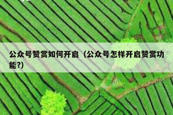 公众号赞赏如何开启（公众号怎样开启赞赏功能?） 第1张