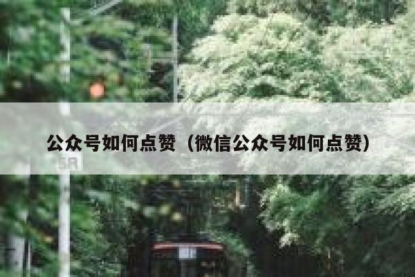 公众号如何点赞（微信公众号如何点赞） 第1张