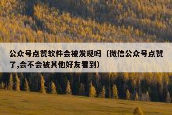公众号点赞软件会被发现吗（微信公众号点赞了,会不会被其他好友看到） 第1张