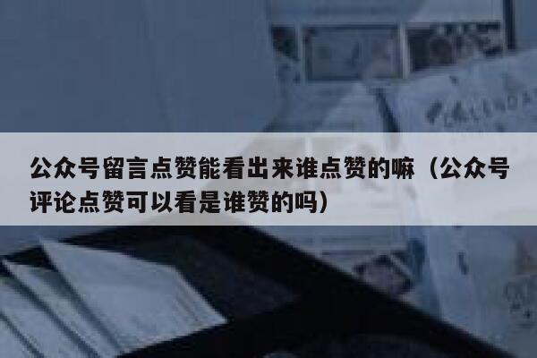 公众号留言点赞能看出来谁点赞的嘛（公众号评论点赞可以看是谁赞的吗） 第1张