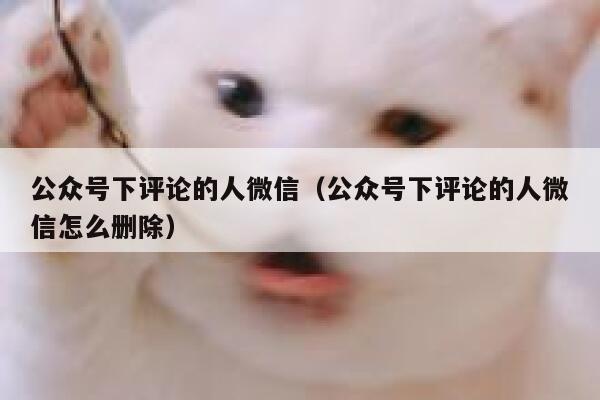 公众号下评论的人微信（公众号下评论的人微信怎么删除） 第1张