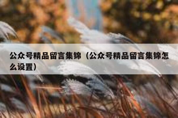 公众号精品留言集锦（公众号精品留言集锦怎么设置） 第1张
