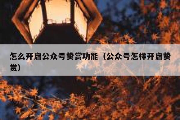 怎么开启公众号赞赏功能（公众号怎样开启赞赏） 第1张