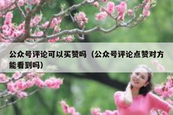 公众号评论可以买赞吗（公众号评论点赞对方能看到吗） 第1张
