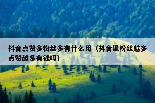 抖音点赞多粉丝多有什么用（抖音里粉丝越多点赞越多有钱吗） 第1张