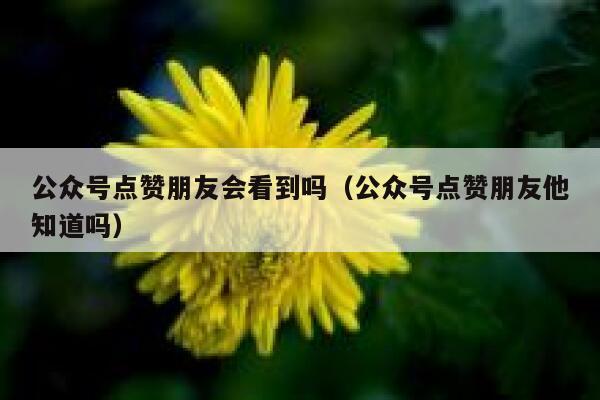 公众号点赞朋友会看到吗（公众号点赞朋友他知道吗） 第1张