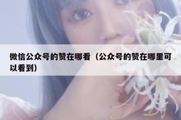 微信公众号的赞在哪看（公众号的赞在哪里可以看到） 第1张