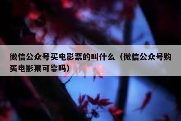 微信公众号买电影票的叫什么（微信公众号购买电影票可靠吗） 第1张