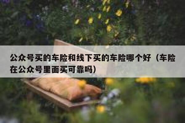 公众号买的车险和线下买的车险哪个好（车险在公众号里面买可靠吗） 第1张