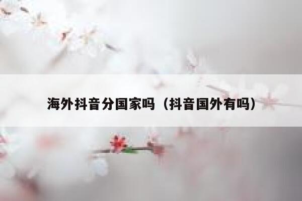 海外抖音分国家吗（抖音国外有吗） 第1张