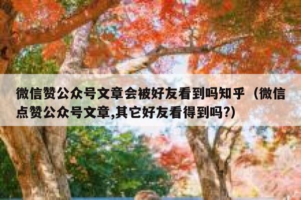 微信赞公众号文章会被好友看到吗知乎(微信点赞公众号文章,其它好友看得到吗?) 第1张 微信赞公众号文章会被好友看到吗知乎(微信点赞公众号文章,其它好友看得到吗?) 第1张