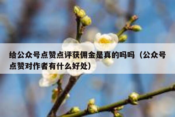 给公众号点赞点评获佣金是真的吗吗（公众号点赞对作者有什么好处） 第1张